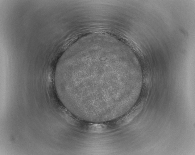 X0000115430277200911251232