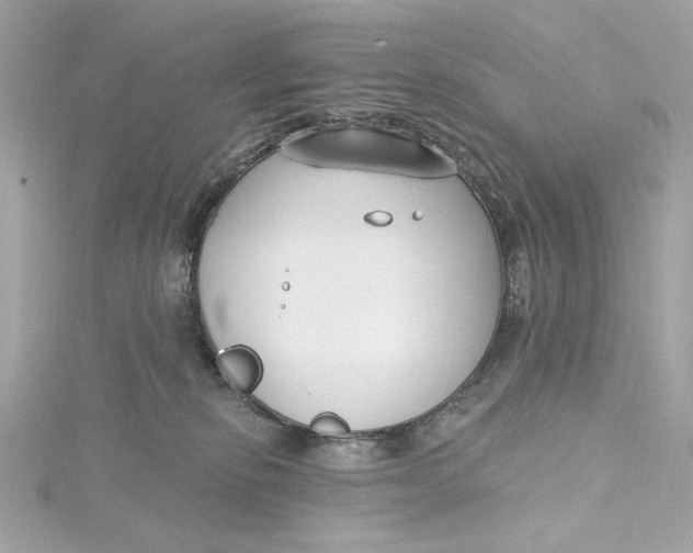 X0000115430278200911251232