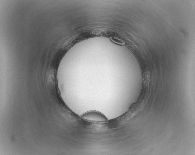 X0000115430280200911251232