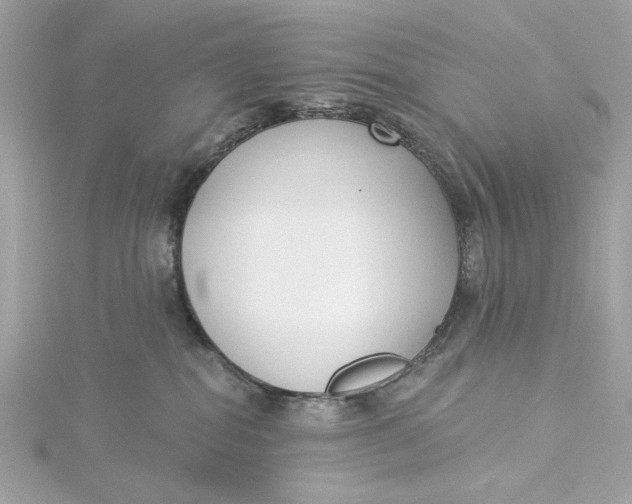 X0000115430282200911251232