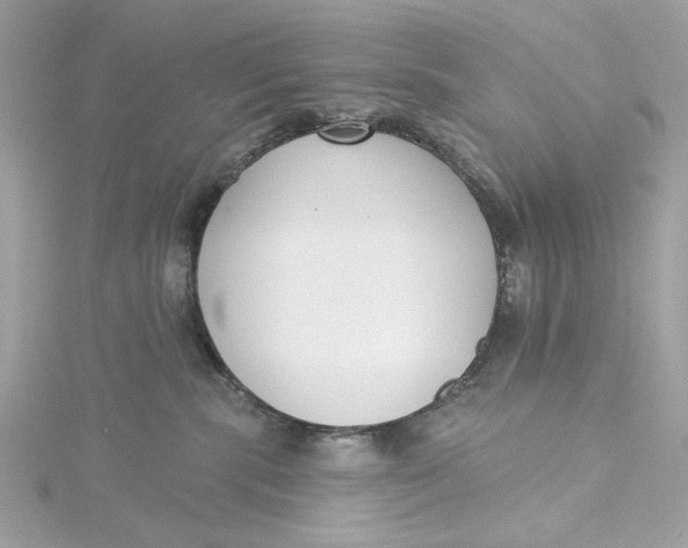 X0000115430283200911251232