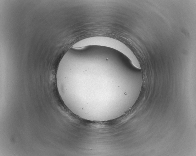 X0000115430284200911251232