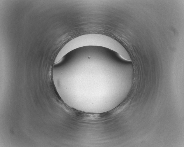 X0000115430288200911251232