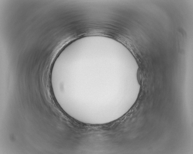 X0000115430289200911251231