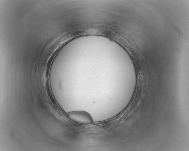 X0000115430290200911251231