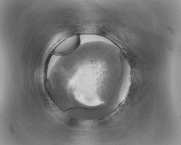 X0000115430293200911251231