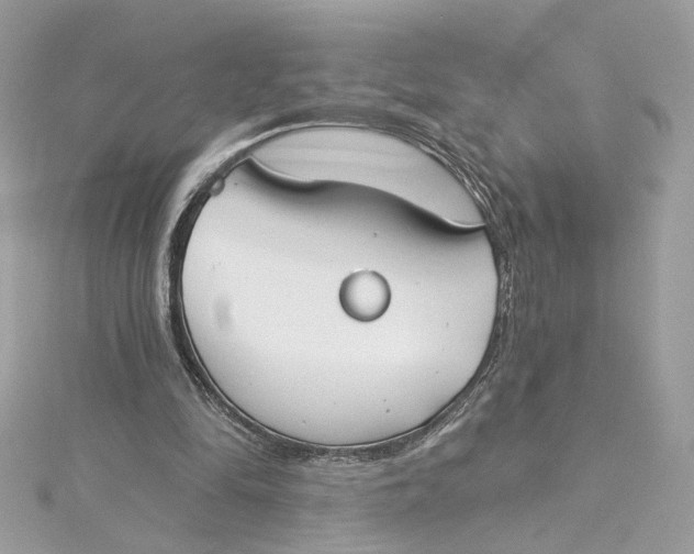 X0000115430294200911251231