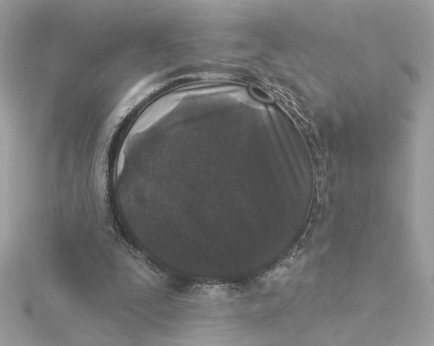 X0000115430295200911251231