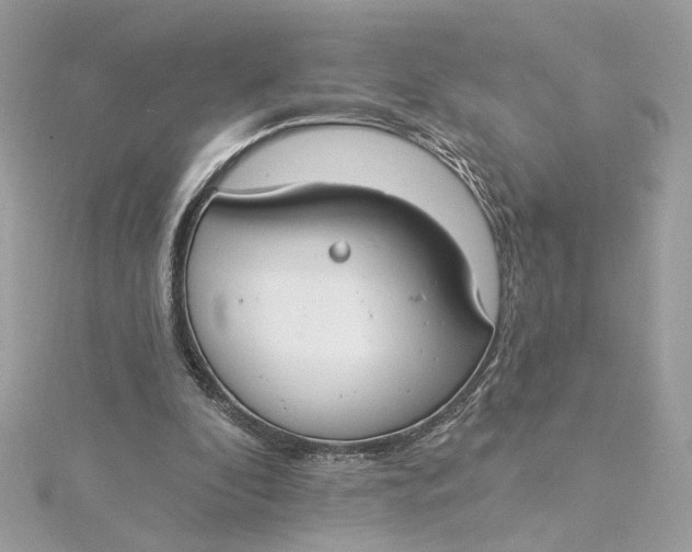 X0000115430296200911251231