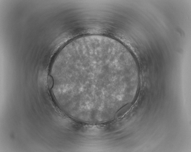 X0000115430297200911251231