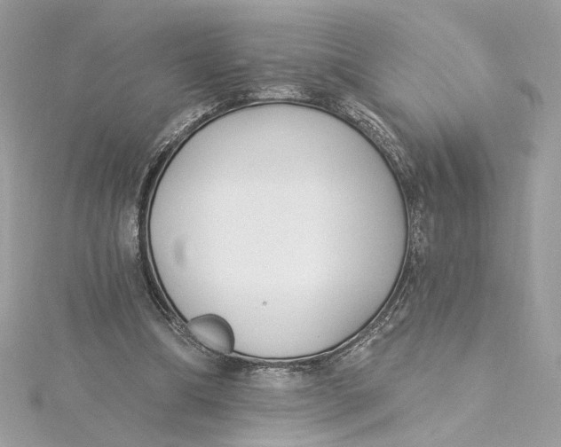 X0000115430298200911251231