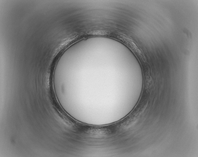 X0000115430299200911251231