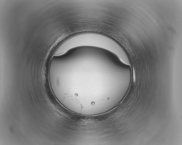 X0000115430300200911251231