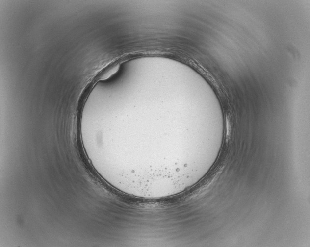 X0000115430301200911251231