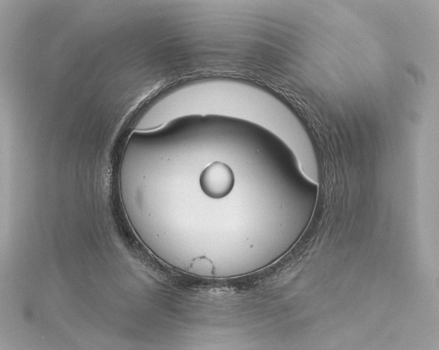 X0000115430304200911251231