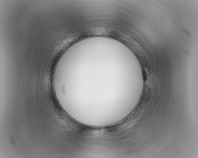 X0000115430306200911251231