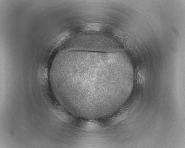 X0000115430308200911251231