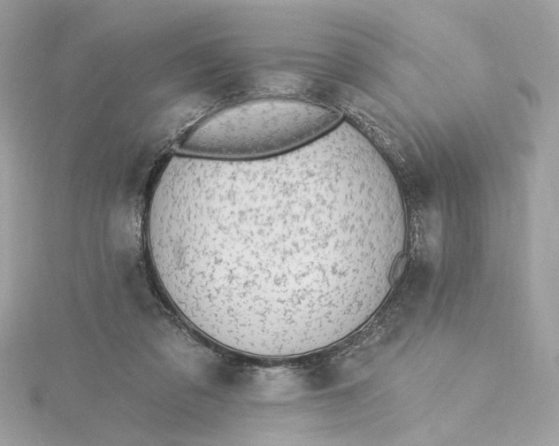 X0000115430309200911251231