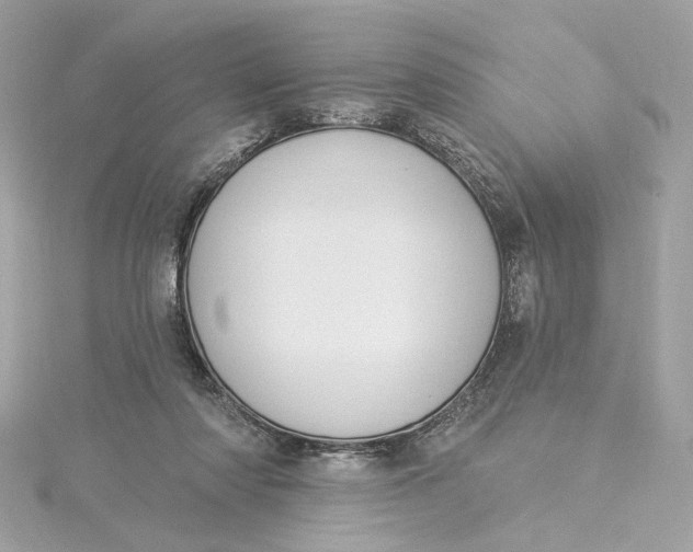 X0000115430310200911251231