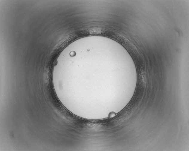 X0000115430311200911251231