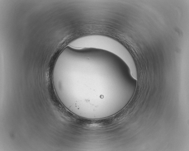 X0000115430312200911251231