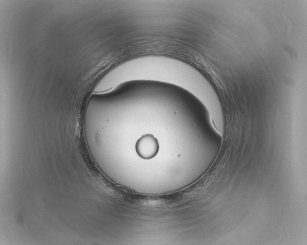 X0000115430313200911251231