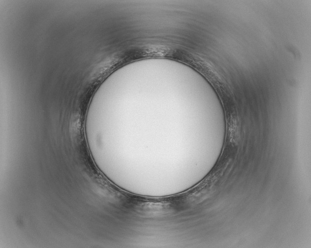 X0000115430314200911251231