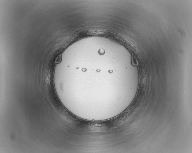 X0000115430315200911251231