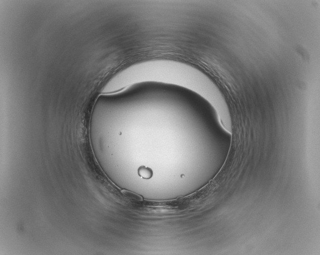 X0000115430316200911251231