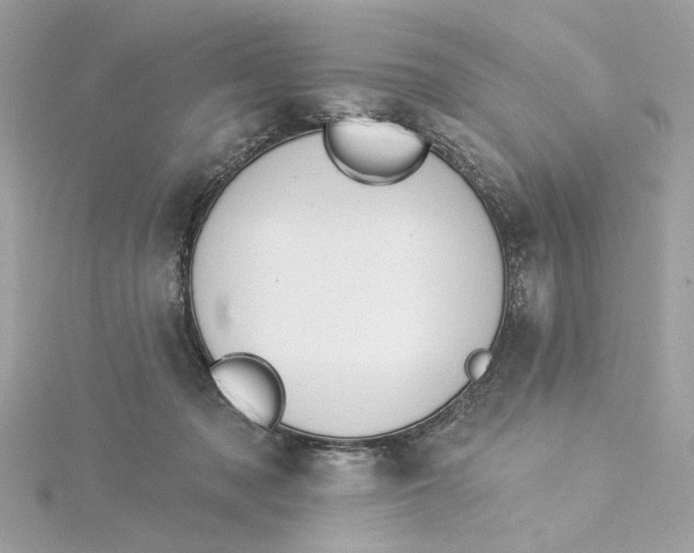 X0000115430317200911251231