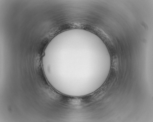 X0000115430318200911251231