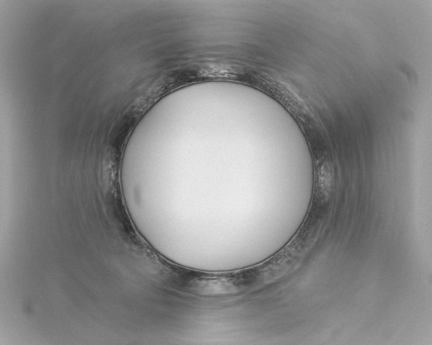 X0000115430322200911251231