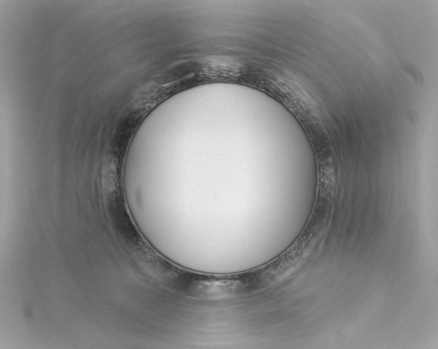 X0000115430323200911251231