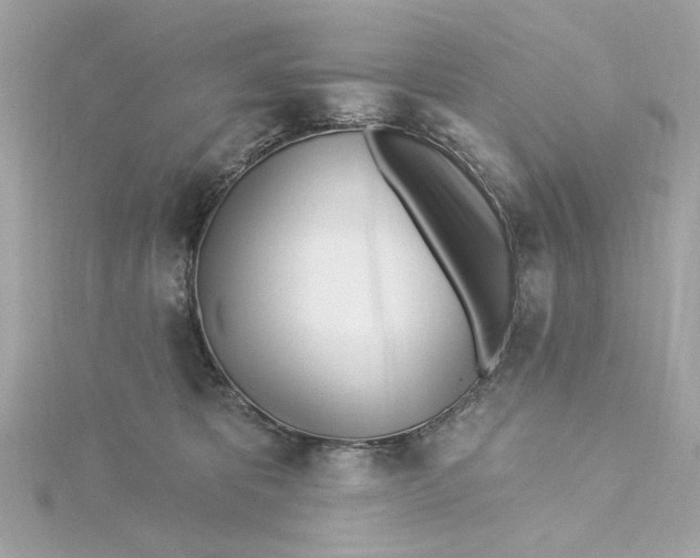 X0000115430325200911251231