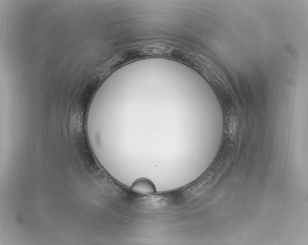 X0000115430326200911251231