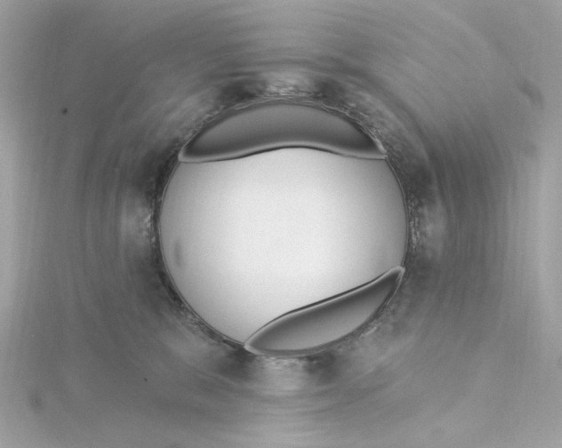 X0000115430327200911251231