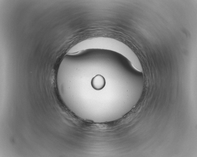 X0000115430328200911251231