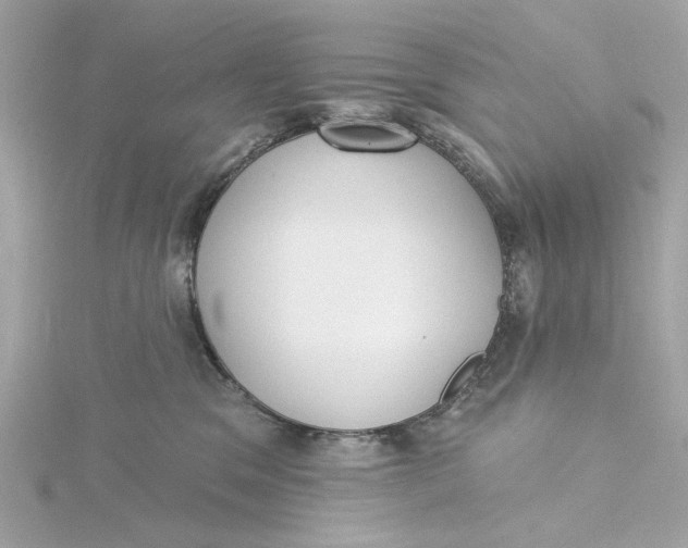 X0000115430329200911251231