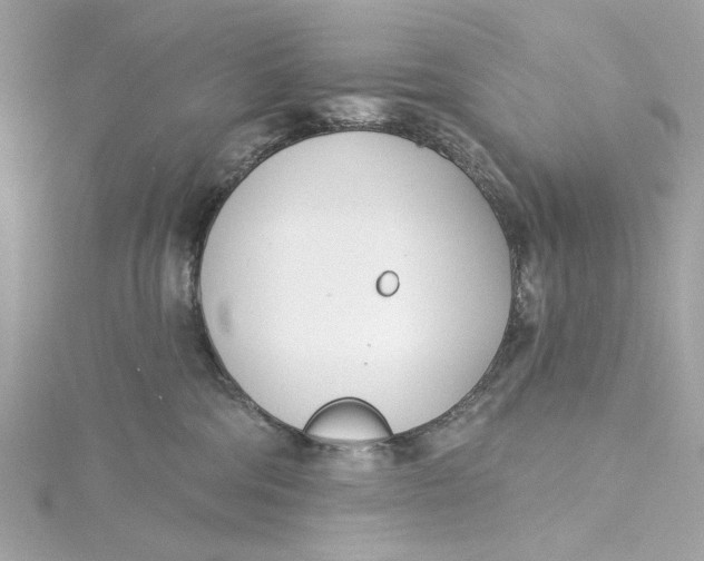 X0000115430330200911251231