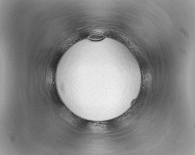 X0000115430331200911251231