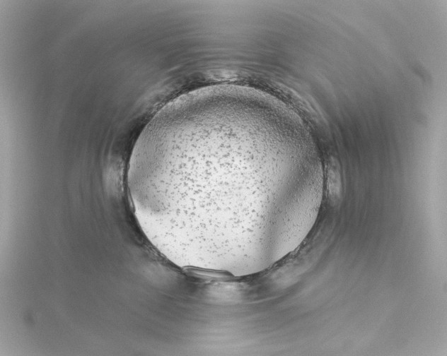 X0000115430332200911251231