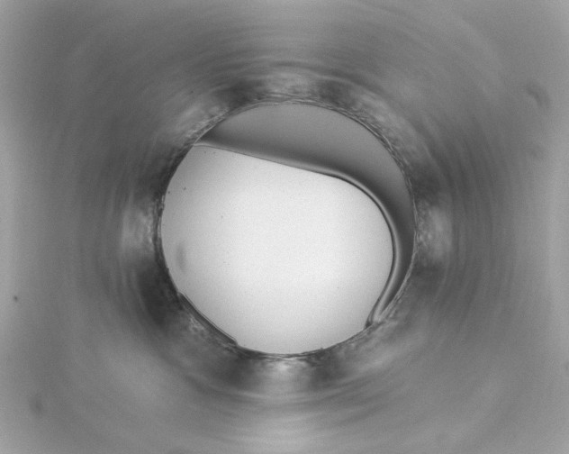 X0000115430333200911251231