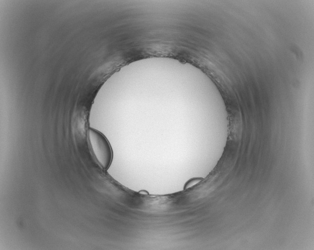 X0000115430334200911251231