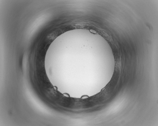 X0000115430335200911251231