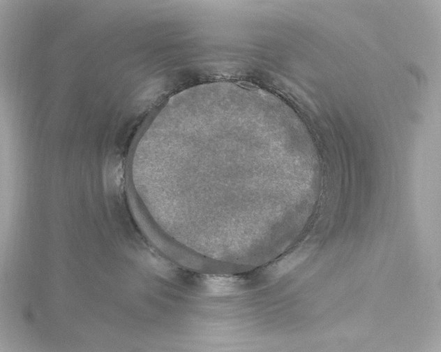 X0000115430336200911251231