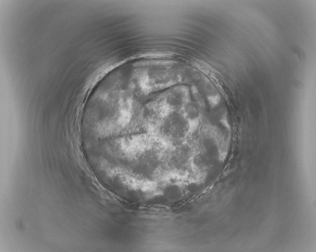 X0000115430337200911251230