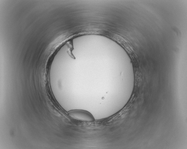 X0000115430338200911251230