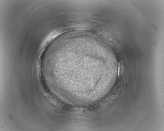 X0000115430339200911251230