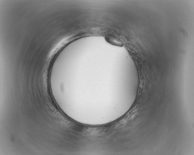 X0000115430341200911251230