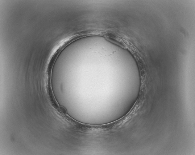 X0000115430342200911251230